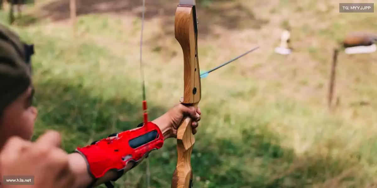 为什么选择我们